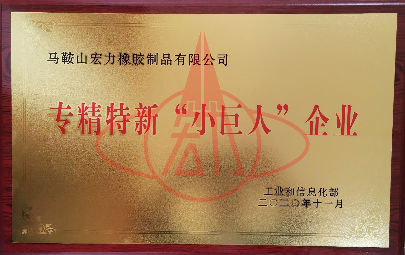 专精特新小巨人企业