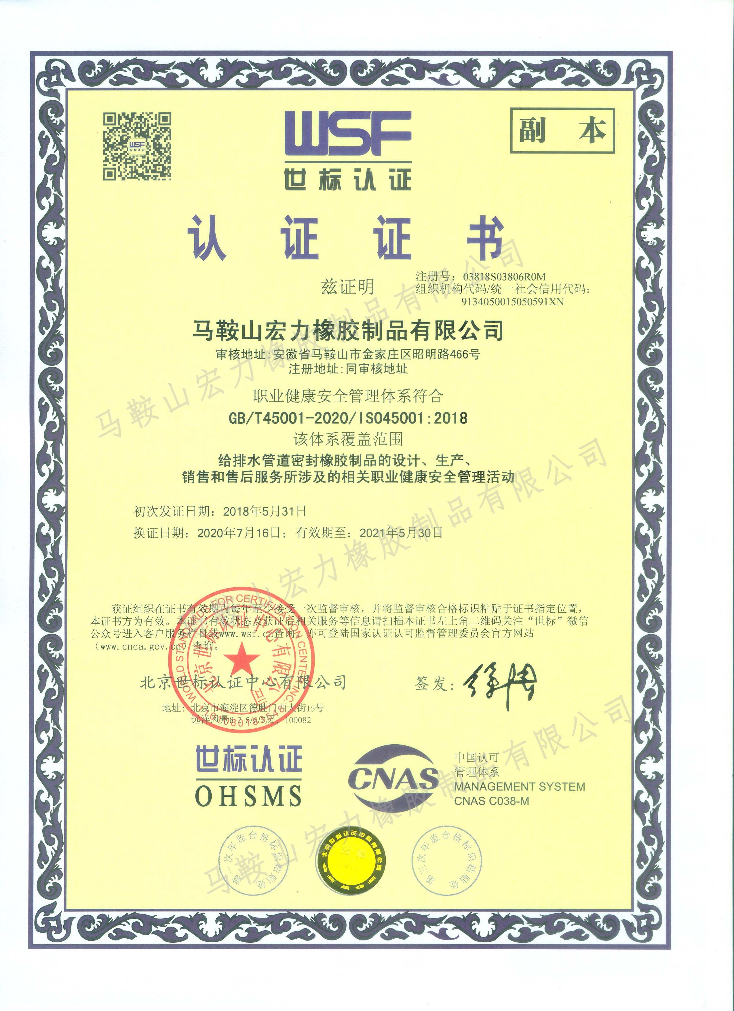 职业健康中文