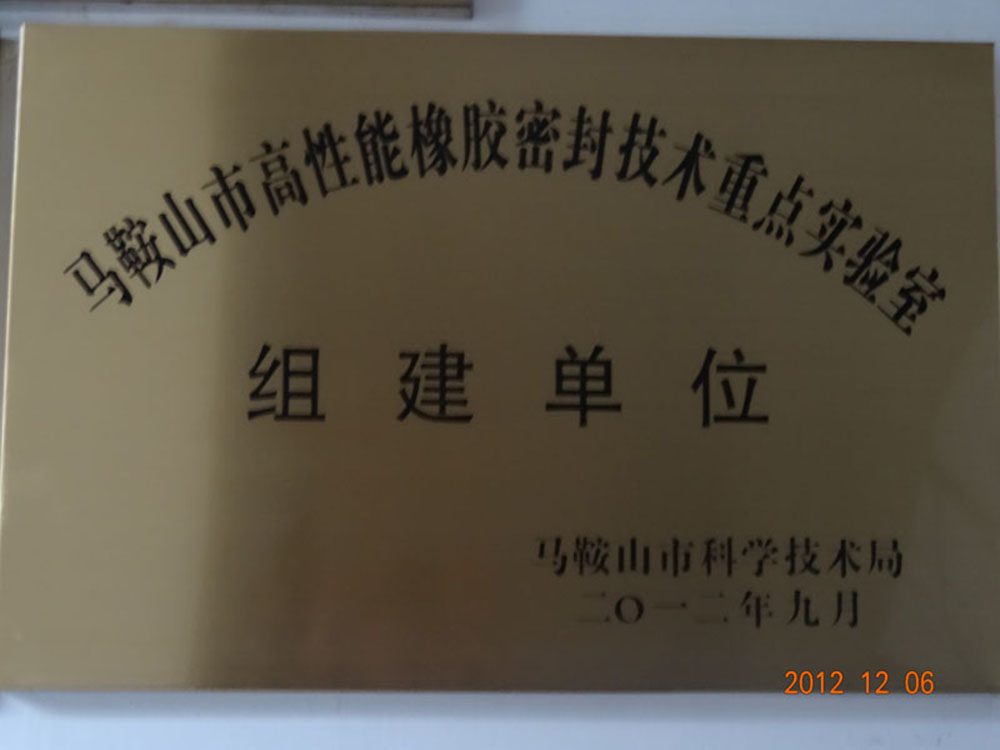 马鞍山市高性能橡胶密封技术重点实验室组建单位